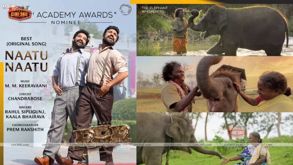 India dominates the 95th Academy Awards, taking home two Oscars for the films Naatu Naatu and Elephant Whisperers. india-wins-big-at-95th-academy-awards-rrrs-naatu-naatu-and-elephant-whisperers-make-india-win-2-oscars